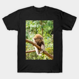 Koala with leg hooked over gum branch. T-Shirt